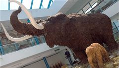 Jihokorejský vědec chce s Rusy klonovat mamuta