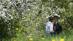Na Petříně se najednou políbilo 711 párů, vytvořily nový rekord