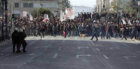 Pes, kter nevynechal ani jednu eckou demonstraci po cel lta. Snmek z 11.bezna 2008