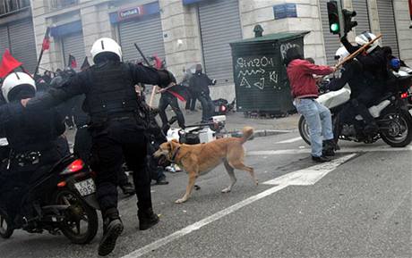 Pes, kter nevynechal ani jednu eckou demonstraci po cel lta. Datum tohoto snmku je neznm.