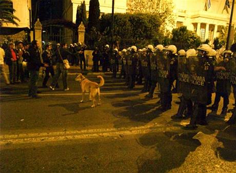 Zde 21. dubna 2010. Pes, kter nevynechal ani jednu eckou demonstraci po cel lta. 