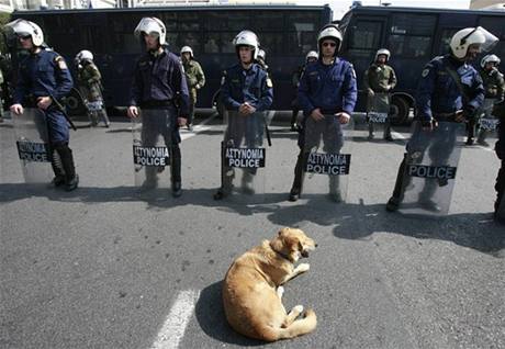 Zde 4. dubna 2009. Pes, kter nevynechal ani jednu eckou demonstraci po cel lta. 