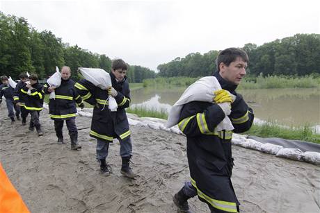 estaticet jednotek hasi z nkolika okres pokraovalo ve zpevování hráze eky Moravy u Hodonína, která má ochránit obce pod Hodonínem ped povodnmi.
