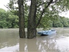 Povodn 2010: rozlitá voda v obci Rohatec na Hodonínsku.