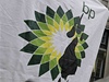 Protesty proti spolenosti BP