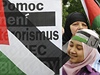 Sdruení Pátelé Palestiny bylo iniciátorem demonstrace, její úastníci 1. ervna ped izraelským velvyslanectvím v Praze odsoudili pondlní izraelský zásah proti flotile.