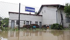 V mstsk sti Ostrava-Svinov voda po 14 dnech opt zatopila zahrady a sklepy.rodinn domky v ulici. 