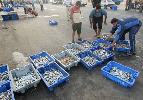 Ryb trh v Gaze