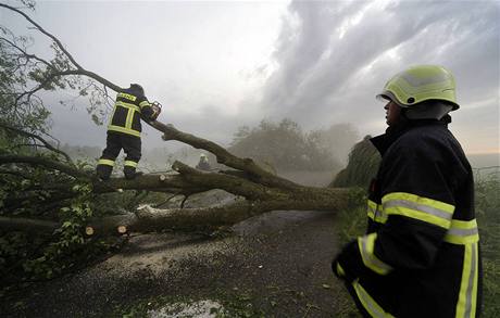 Odstraování spadlých strom.