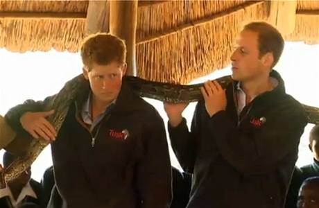 Princové William a Harry na návtv v chránné oblasti Botswana.