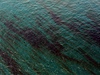 Obí ropná skvrna v Mexickém zálivu