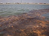 Obí ropná skvrna v Mexickém zálivu