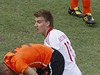 Nizozemsko - Dánsko (Bendtner v akci).