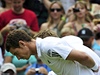 Královna Albta II. ve Wimbledonu (Andy Murray a Jarkko Nieminen se klaní).