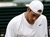 John Isner.