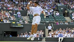 Berdycha v semifinále Wimbledonu doplní Nadal, Djokovič a Murray