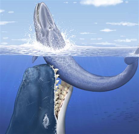 Pravěká velryba Leviathan melvillei v představě malíře