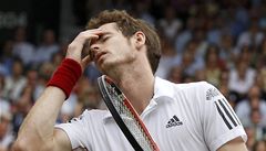 Anglie v slzch: Beckham Murraymu nepomohl. Berdycha ek Nadal
