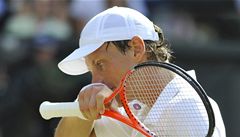 Berdycha po Wimbledonu opustila forma, na turnaji v USA skonil u ve tvrtfinle