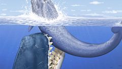 Pravká velryba Leviathan melvillei v pedstav malíe