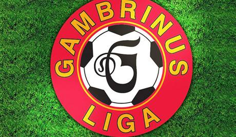 Star logo Gambrinus ligy.