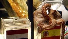 Slavn vtc chobotnice Paul, symbol fotbalovho mistrovstv, zahynula