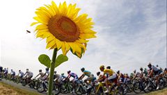 Tour de France