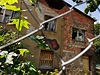 Ruina, ve které mla Veronika Koová nahláené trvalé bydlit. Údajn jen kvli tomu, e ho chtla s úadem Prahy 9 vymnit za obyvatelný byt.