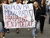 1000 lidí protestuje v Moravském Krumlov proti sthování Epopeje do Prahy