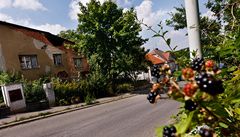 Ruina, ve které m�la Veronika Ko�ová nahlá�ené trvalé bydli�t�. Údajn� jen kv�li tomu, �e ho cht�la s ú�adem Prahy 9 vym�nit za obyvatelný byt.