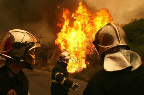 Na boji s ohněm se kromě více než 800 řeckých hasičů a 800 řeckých vojáků