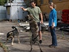 Psi, které pivezli etí vojáci z Afghánistánu