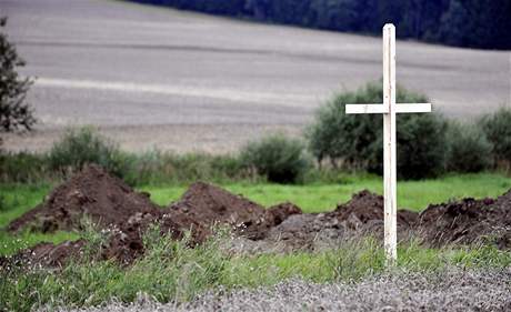Devný kí v míst hrobu Nmc u Dobronína na Jihlavsku