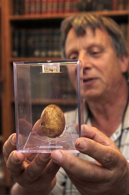 Vedoucí výzkumu Bohuslav Klíma ukazuje jeden z nejvzácnjích letoních nález, dochované vejce, nalezené v jednom z hrob na nejvtím pohebiti starých Slovan na Morav v Hraditi u Znojma