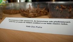 V praské ZOO mohli lidé ochutnat hmyz.