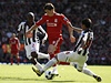 Liverpool FC - West Bromwich Albion (Fernando Torres uprosted)
