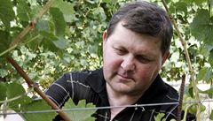 Vít�zem osmého ro�níku sout�e Vina� roku se stal Josef Valihrach (na archivním snímku z 15. srpna 2007) z rodinného vina�ství v Krumví�i na B�eclavsku.