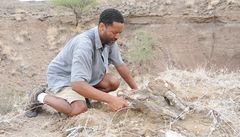 V americkém Utahu našli kostru neznámého dinosaura 