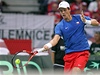Davis Cup: Srbsko - esko (Tomá Berdych)