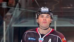 Čeští hokejisté v KHL? Rozhodně jsou na očích