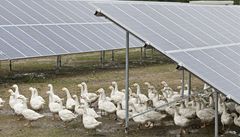 Sedm otázek a odpovědi kolem podpory solární energie