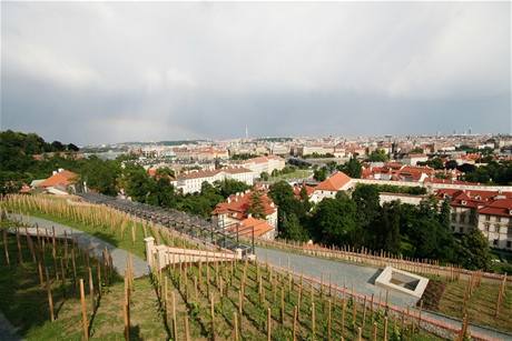 Svatovclavsk vinice na Praskm hrad.