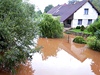 Vytrvalý dé rozvodnil v uplynulých dnech eku Labe v Brod nedaleko Kuksu na Trutnovsku, kde je vyhláen tetí stupe povodového nebezpeí.
