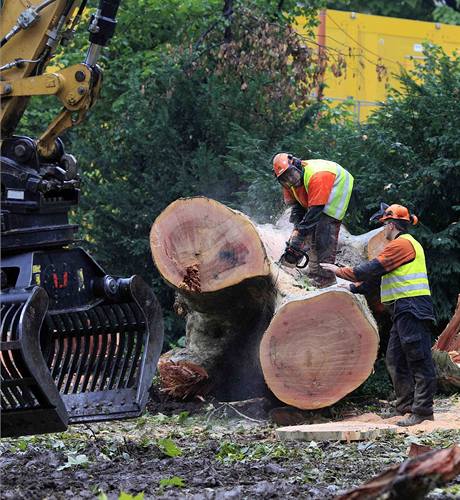 Kácení stromů v místě výstavby železnice ve Stuttgartu