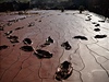 Toxický kal v Maarsku