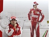 Formule 1 (Fernando Alonso)