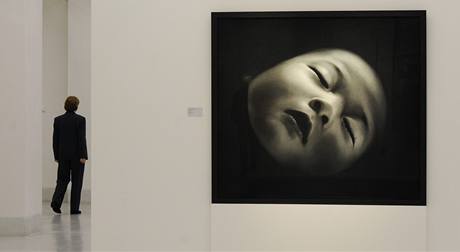 Monet-Warhol - Mistrovsk dla z muzea Albertina a Batlinerovy sbrky v Nrodn Galerii. Na snmku dlo Bez nzvu, jeho autorem je Robert Longo.