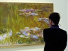 Monet-Warhol - Mistrovská díla z muzea Albertina a Batlinerovy sbírky v Národní Galerii.  Na snímku obraz Jezero s lekníny, jeho autorem je Claude Monet. 