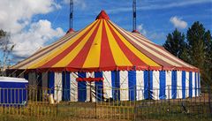 ZVINA: Cirkus jako ohroen druh