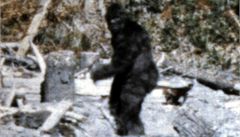 nt vdci maj nov kol: najt mytickho Bigfoota